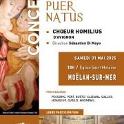 20250531 moelan sur mer